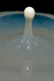 Milk Droplet Splash In Water A8V9034